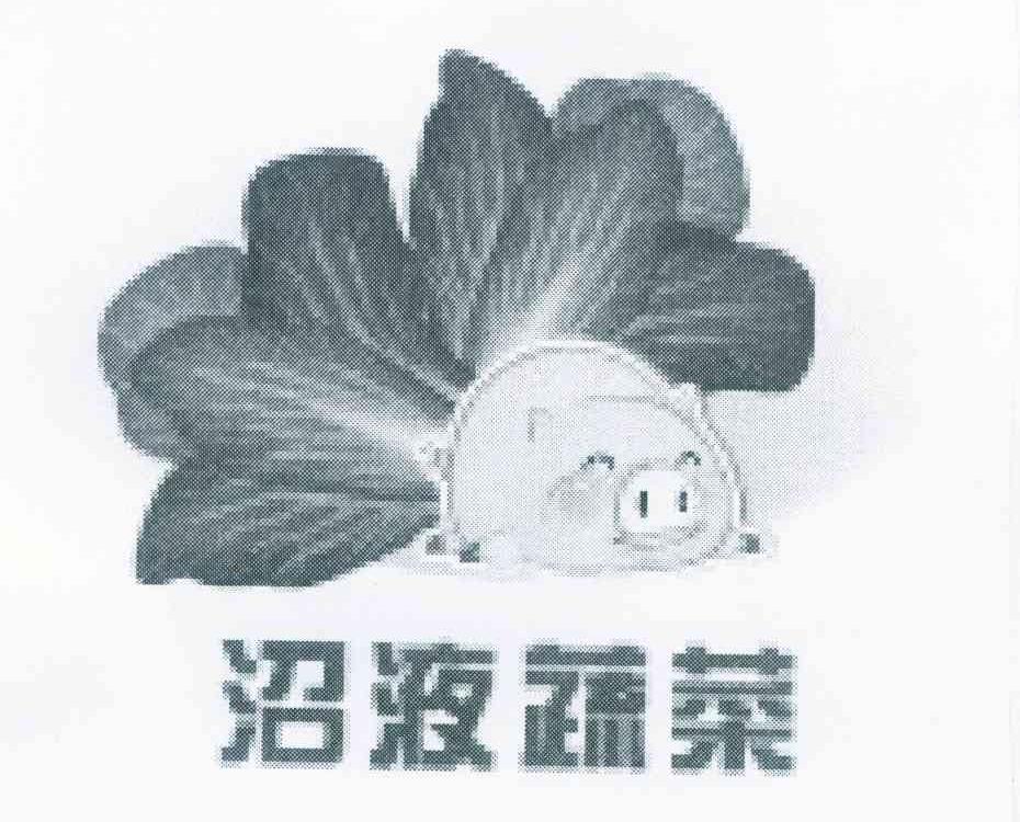 沼液蔬菜