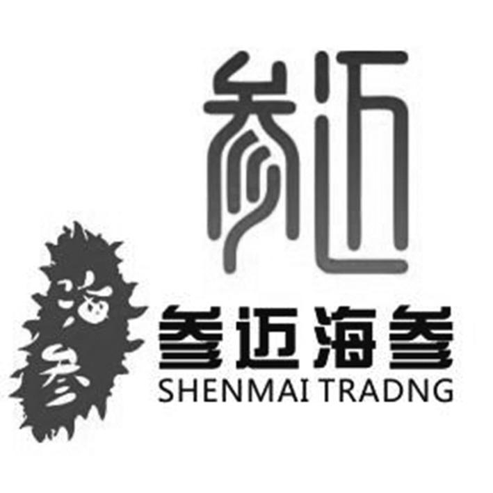 参迈 海参 参迈海参 SHENMAI TRADNG
