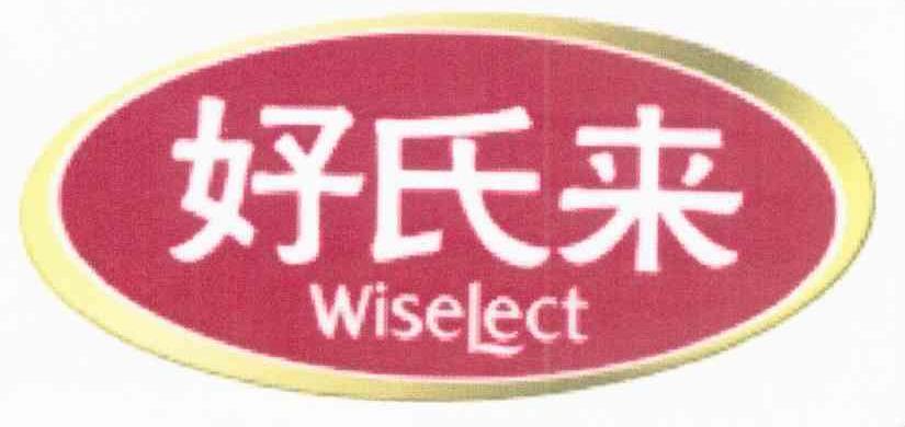 好氏来 WISELECT