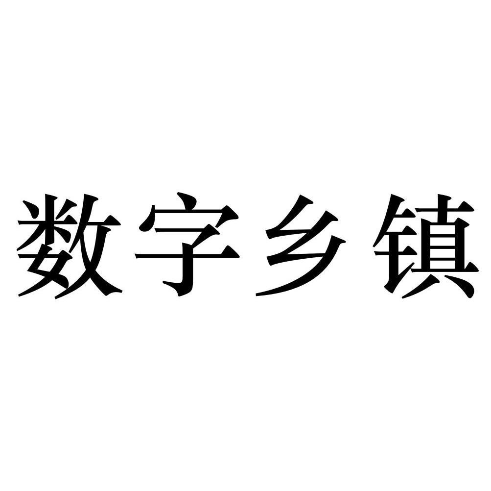 数字乡镇