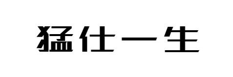 猛仕一生