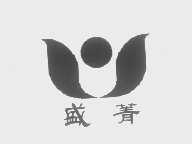 盛菁