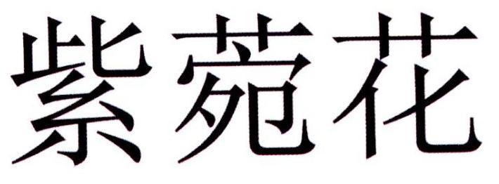 紫菀花