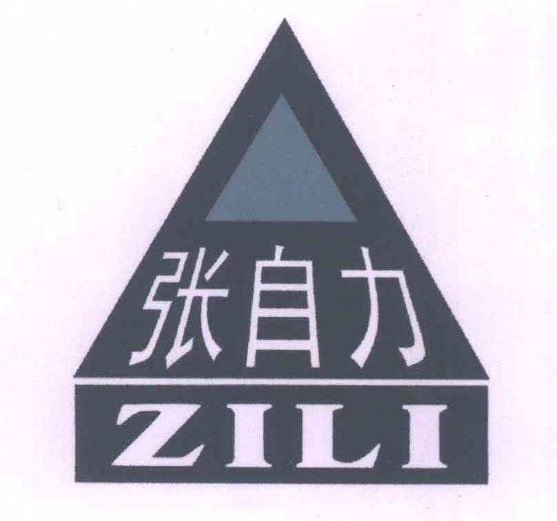 张自力 ZILI