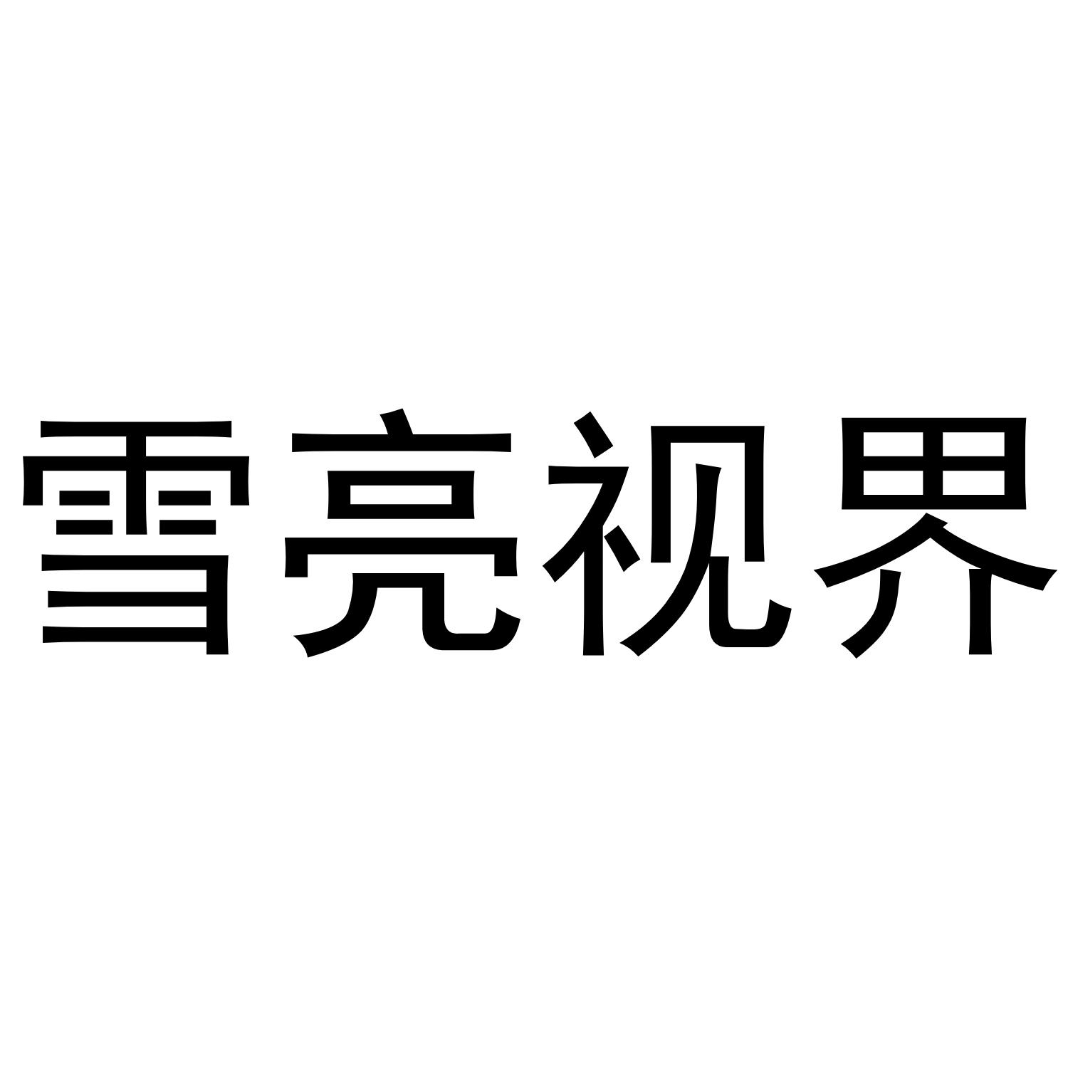 雪亮视界