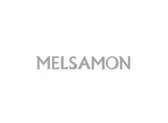 MELSAMON