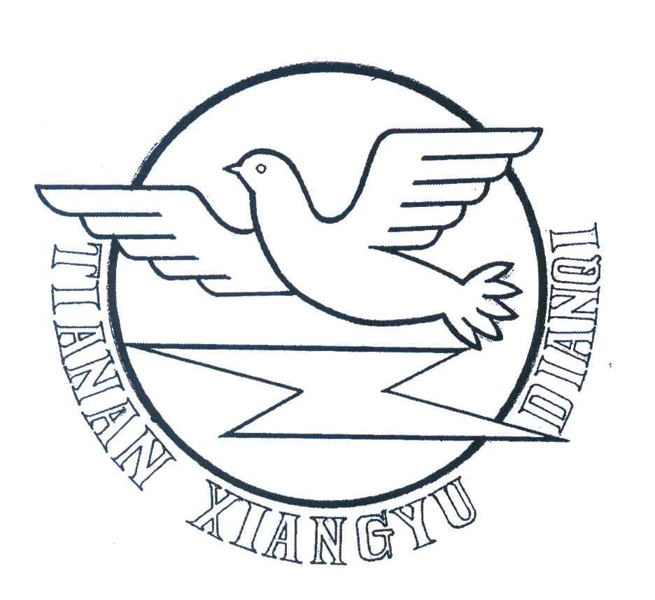 TIANAN XIANGYU DIANQI