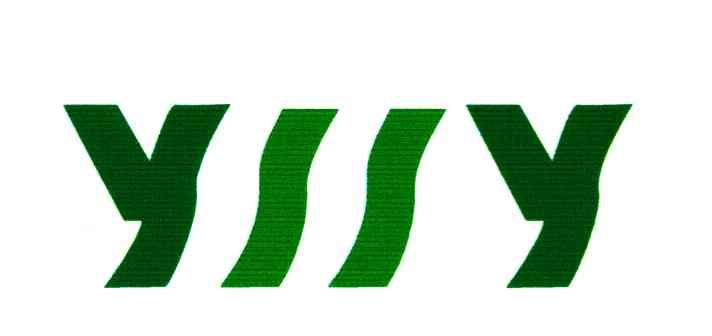 YY