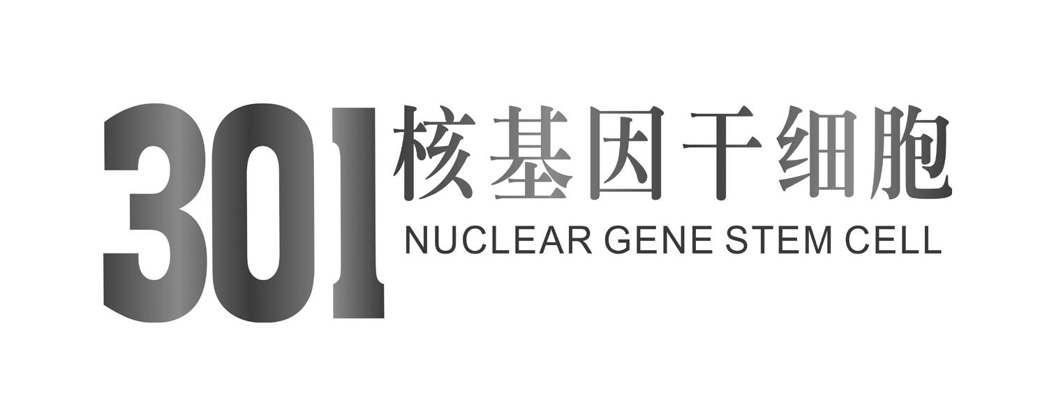 301 核基因干细胞 NUCLEAR GENE STEM CELL