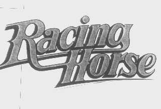 RACING HORSE