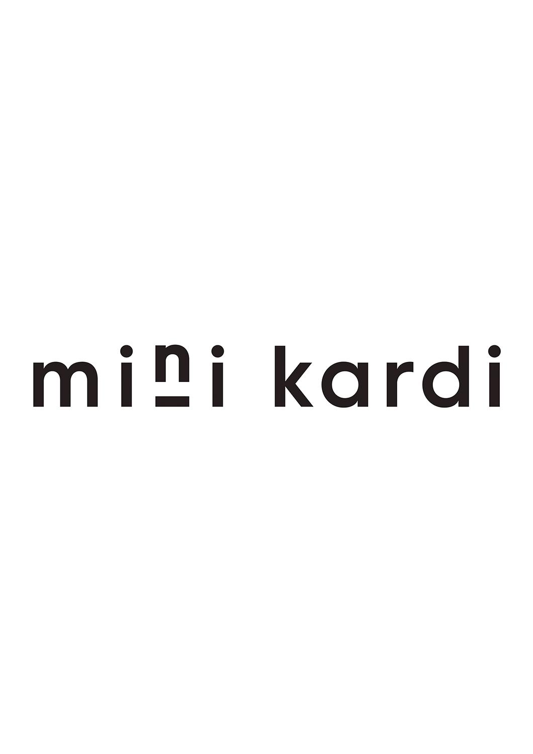 MINI KARDI