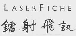 镭射飞讯 LASERFICHE