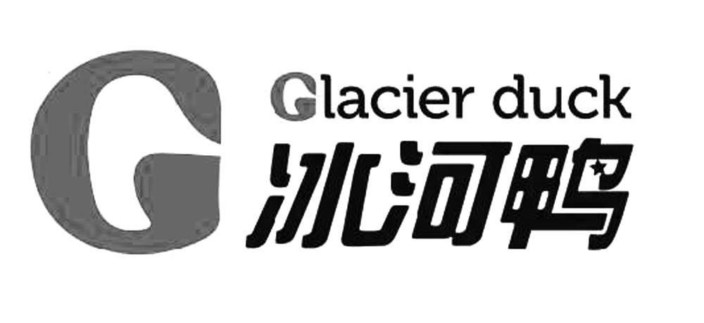 冰河鸭 G GLACIER DUCK