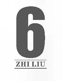 6 ZHI LIU