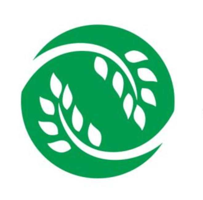 图形