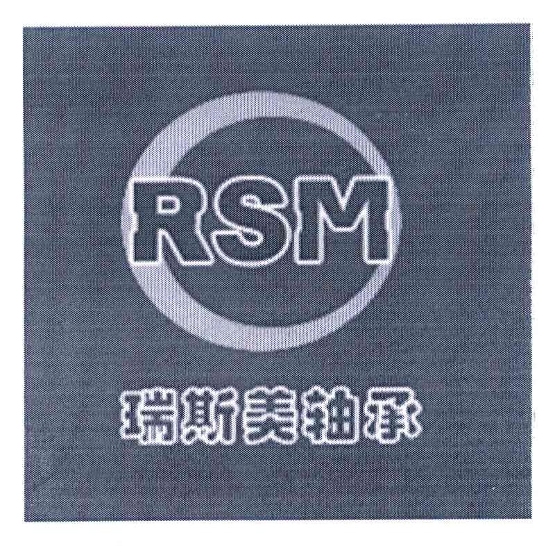瑞斯美轴承 RSM