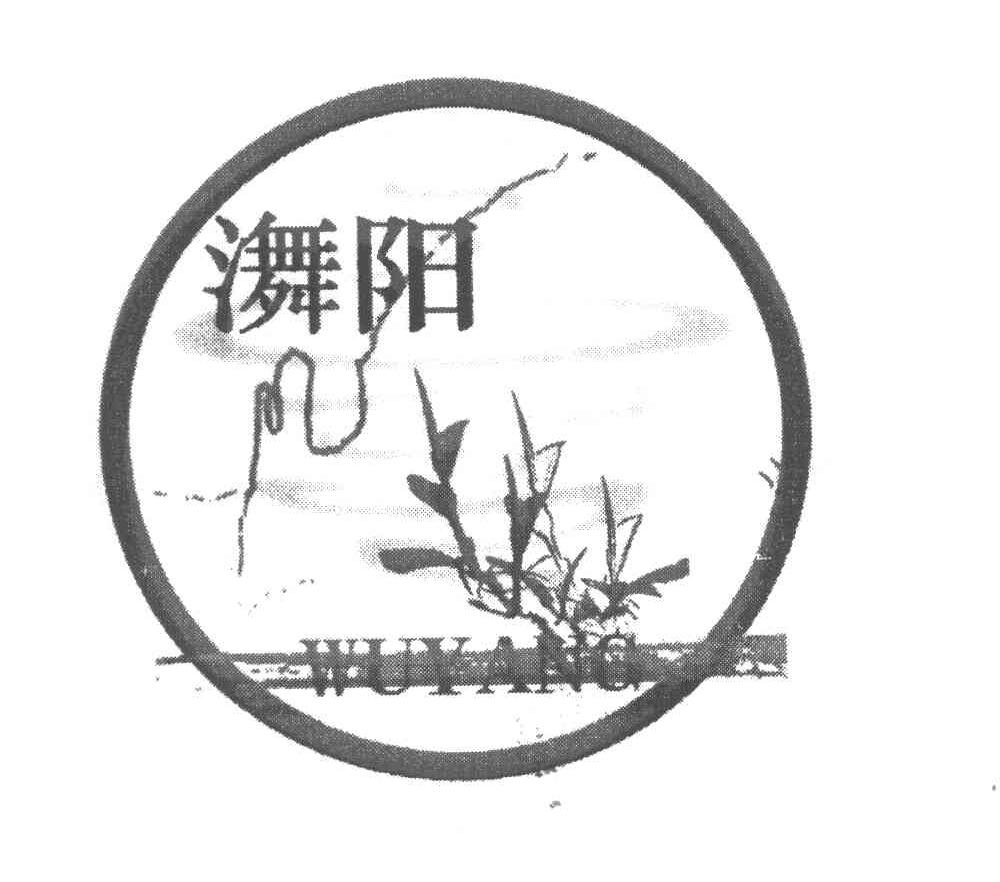 阳