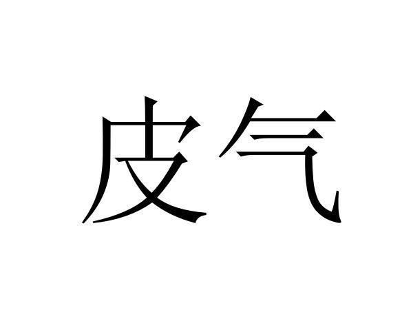 皮气