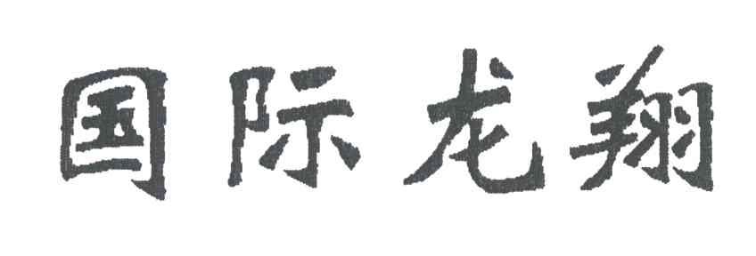国际龙翔