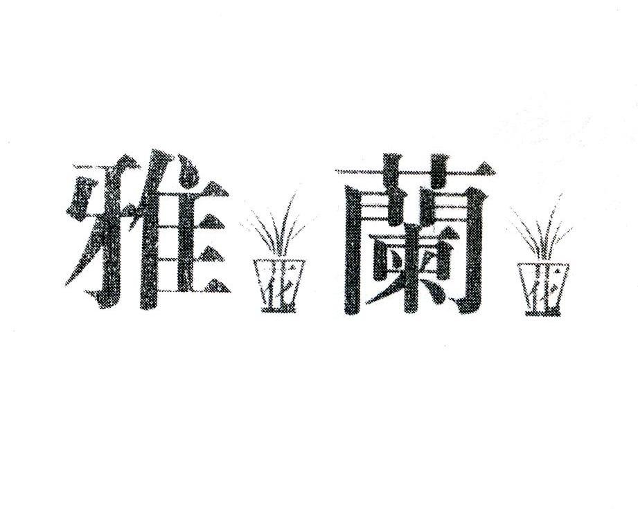 雅花兰花