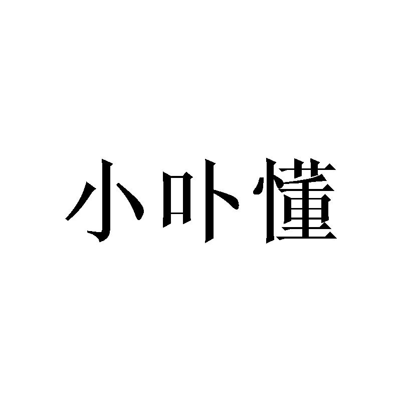 小卟懂