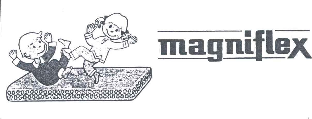 MAGNIFLEX及图