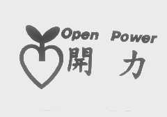 开力   OPEN POWER