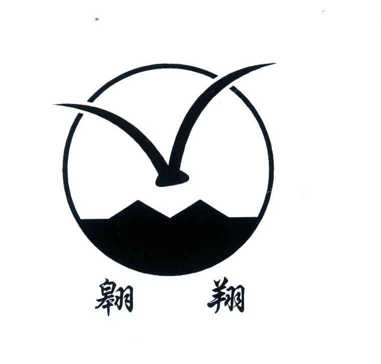 翱翔