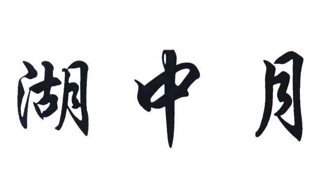 湖中月