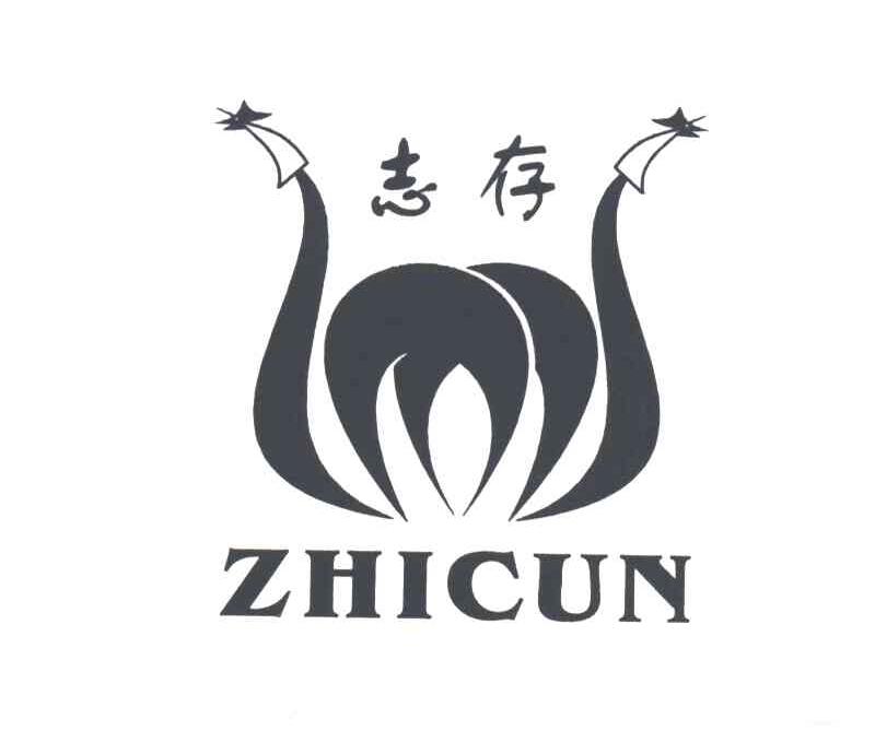 志存