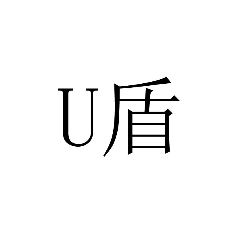 U 盾