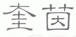 奎茵
