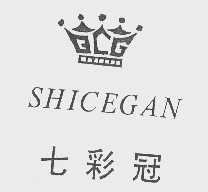 七彩冠   SHICEGAN