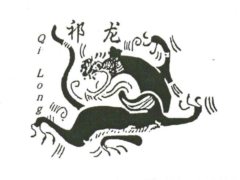 祁龙