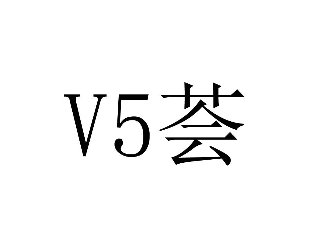 V5荟