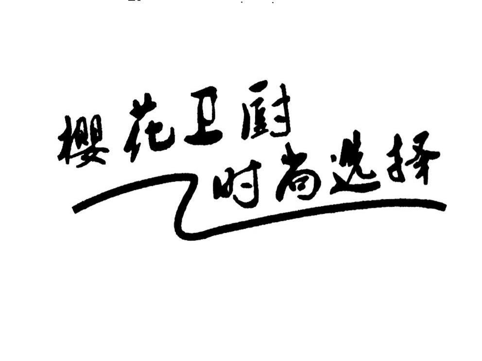 樱花卫厨时尚选择 Z