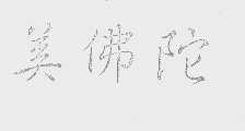 美佛陀