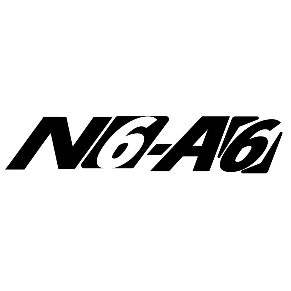 N6A6