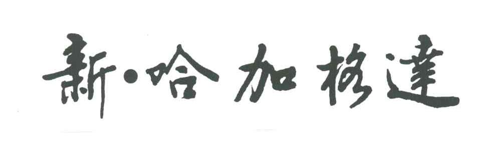 新哈加格达