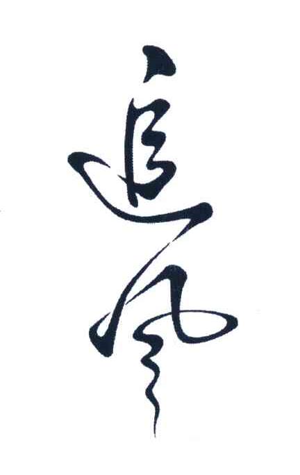 追风