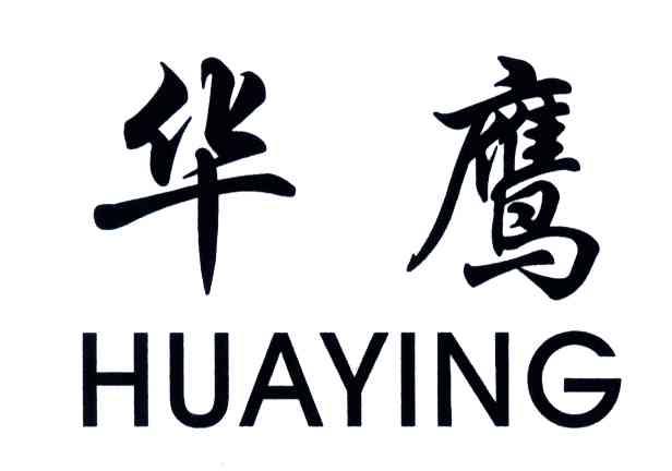 华鹰