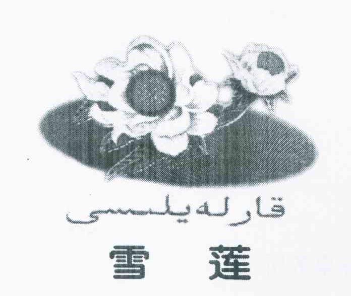 雪莲