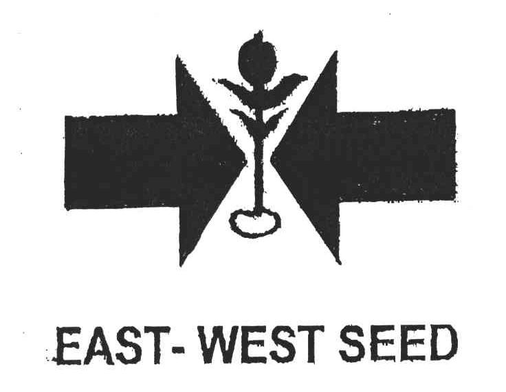 EAST-WEST SEED
