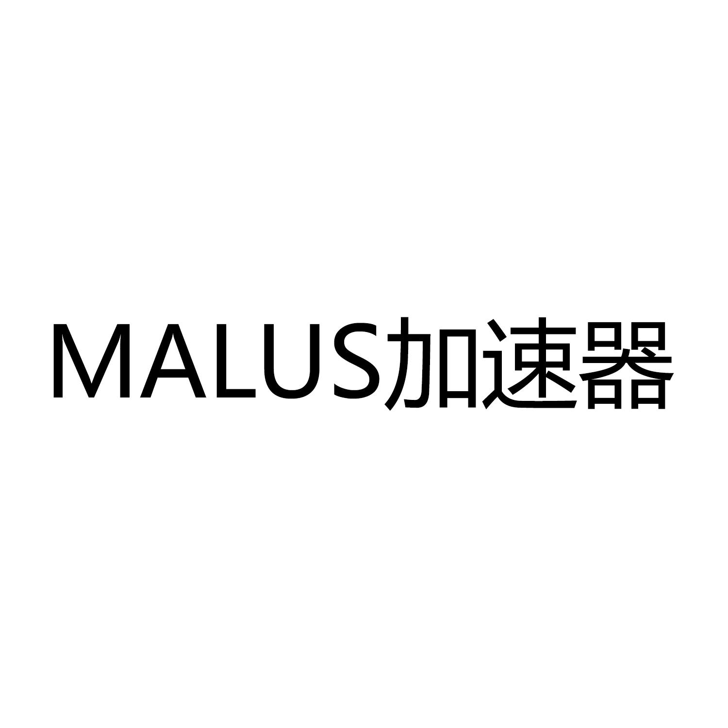 MALUS加速器