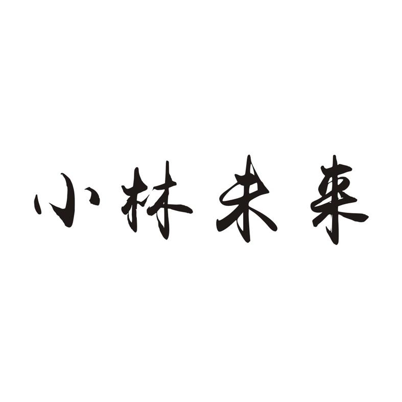 小林未来