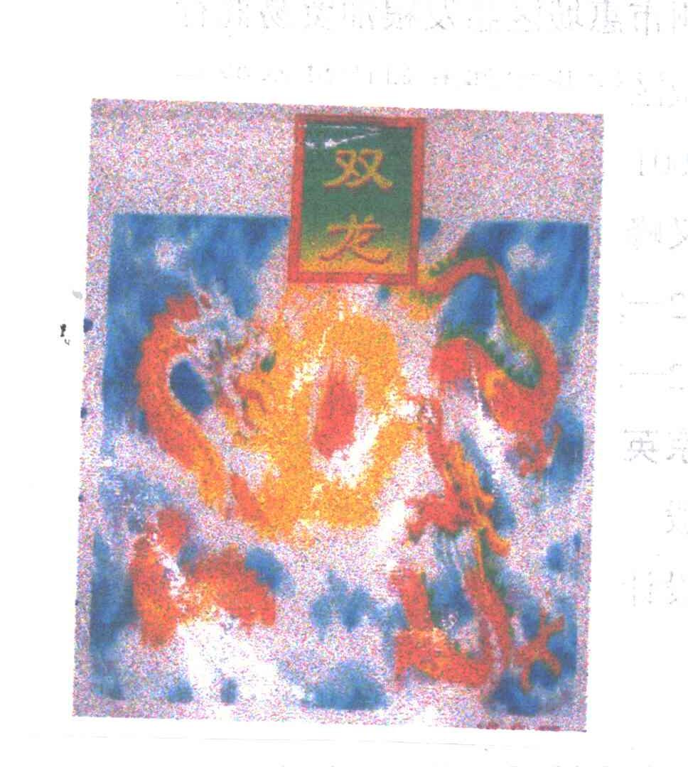 双龙
