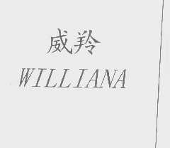 威羚   WILLIANA