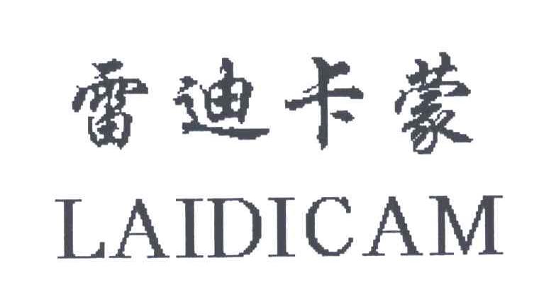 雷迪卡蒙;LAIDICAM