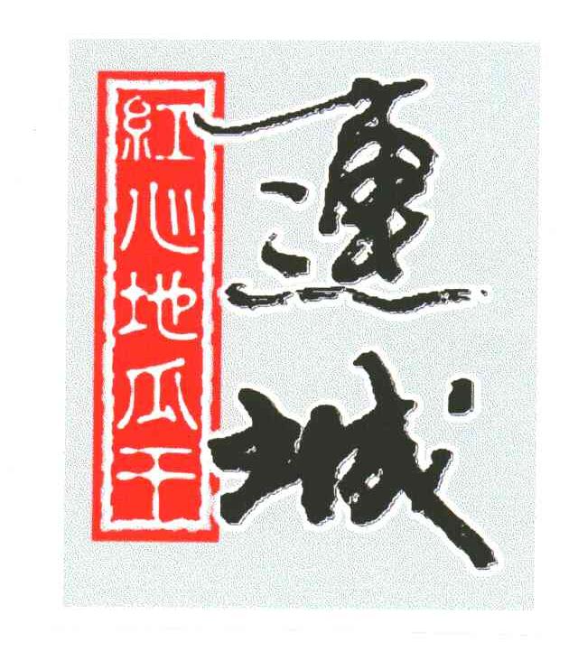 连城红心地瓜干
