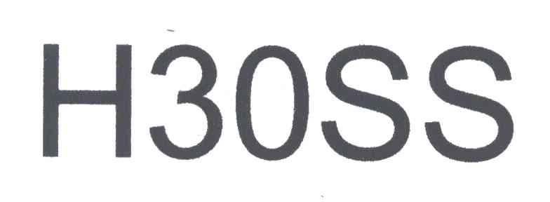 H30SS